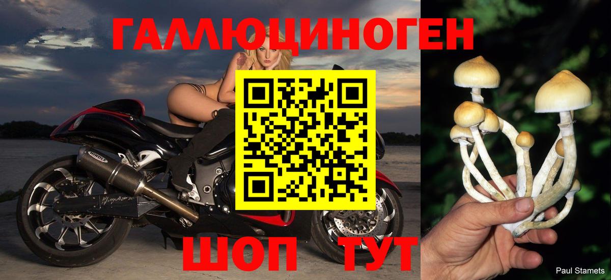 Галлюциногенные грибы MAGIC MUSHROOMS Ярцево